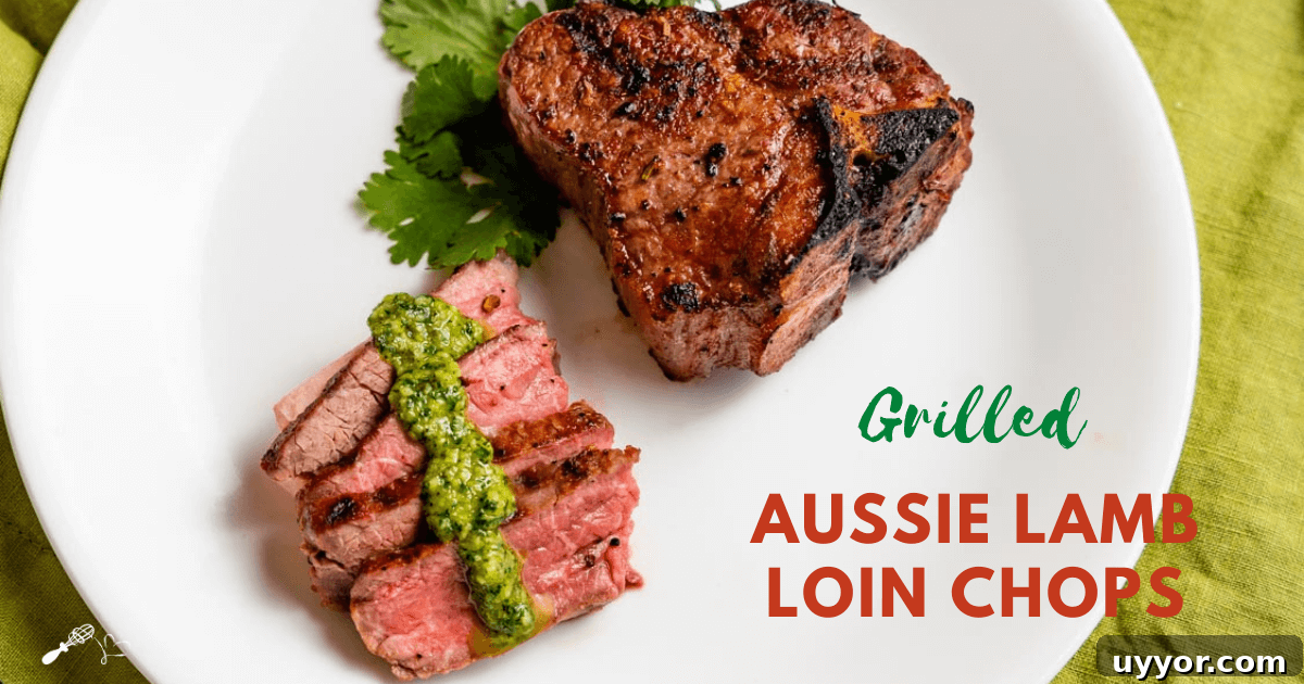 Sliced lamb with a drizzle of pesto in front of an uncut grilled lamb chop