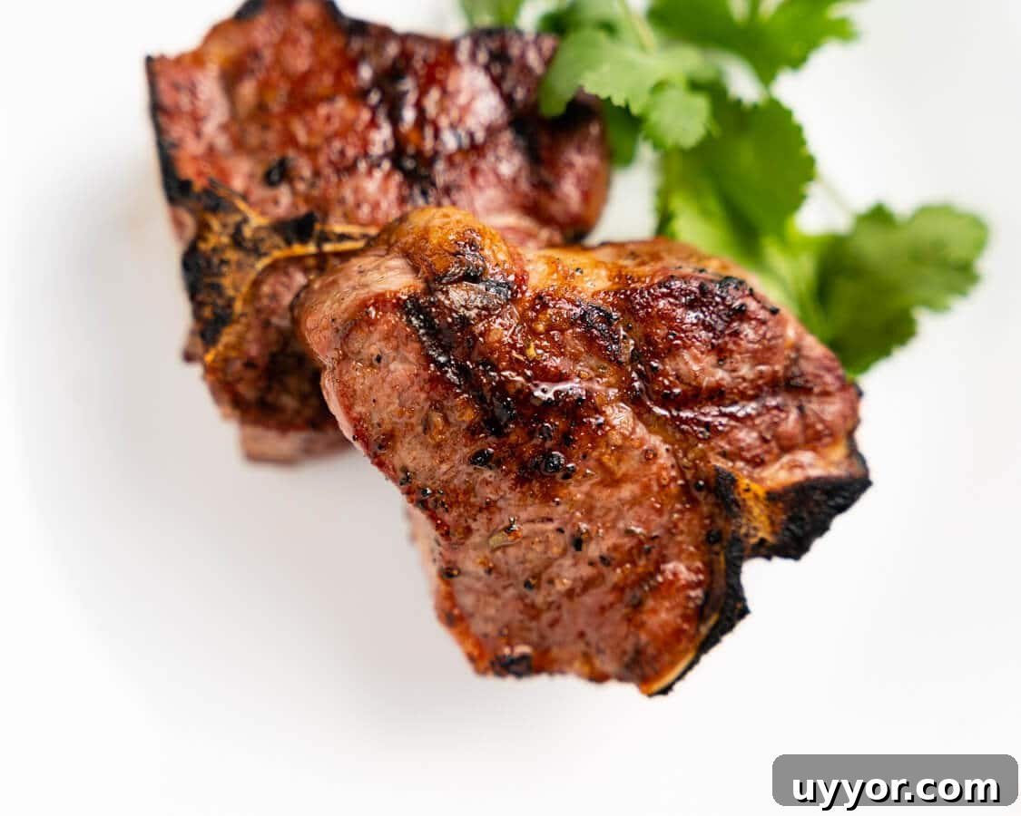 Close up top view of two grilled loin chops