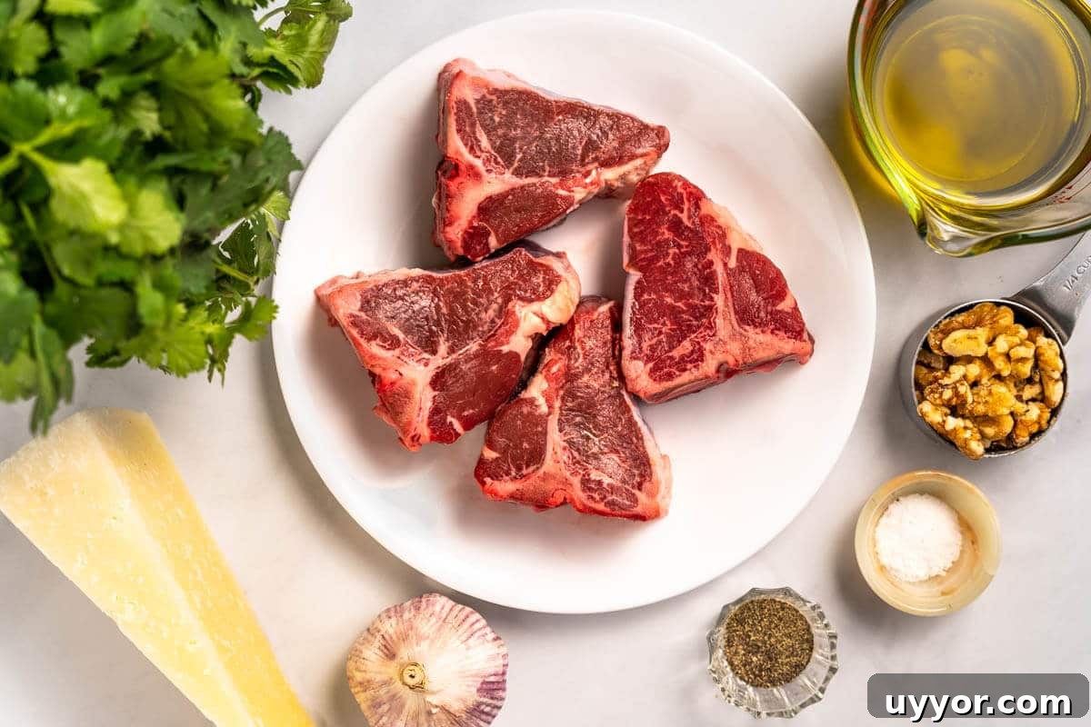 Top view of ingredients used to make grilled lamb loin chops including Lamb chops, Cilantro, Olive oil, Garlic, Walnuts, Salt, Pepper, and Romano Cheese.