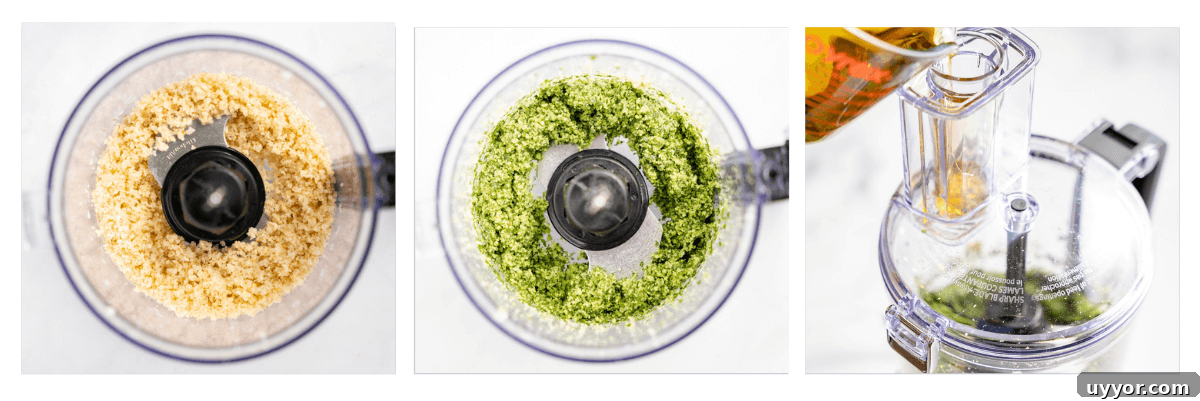 Three photo collage showing how to make cilantro pesto including ground walnuts, ground cilantro, and oil being applied to the ground ingredients