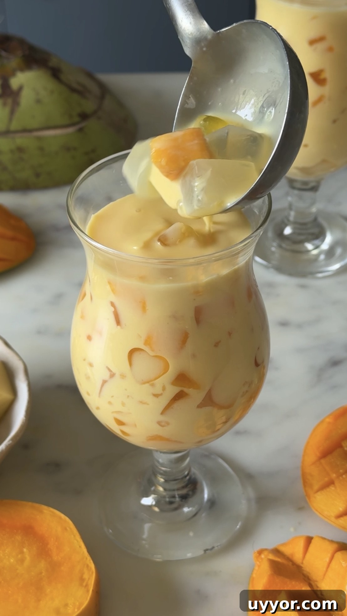 Refreshing Mango Sago Recipe: Tropical Dessert with Coconut Milk 5 img 11649 4