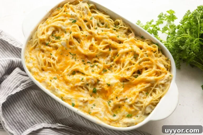 Creamy Cheddar Chicken Noodle Casserole Recipe 2 Cheesy chicken noodle casserole baked in a white ceramic dish until golden and bubbly.