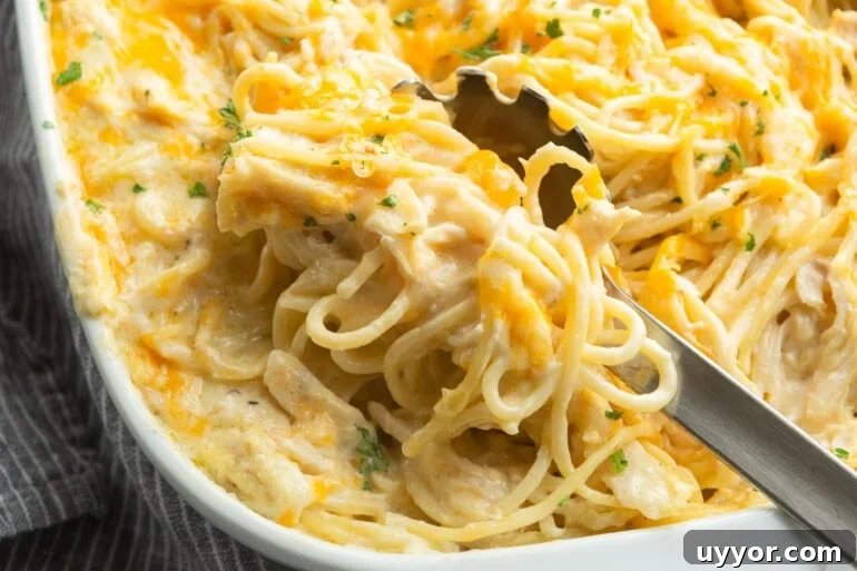 Creamy Cheddar Chicken Noodle Casserole Recipe 3 Overhead shot of creamy chicken noodle casserole in a white baking dish with melted cheese on top. A spoon is taking a scoop.