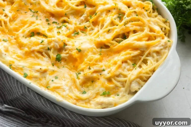 Creamy Cheddar Chicken Noodle Casserole Recipe 4 Close-up of cream cheese chicken noodle casserole showing tender noodles and creamy sauce in a white ceramic pan.