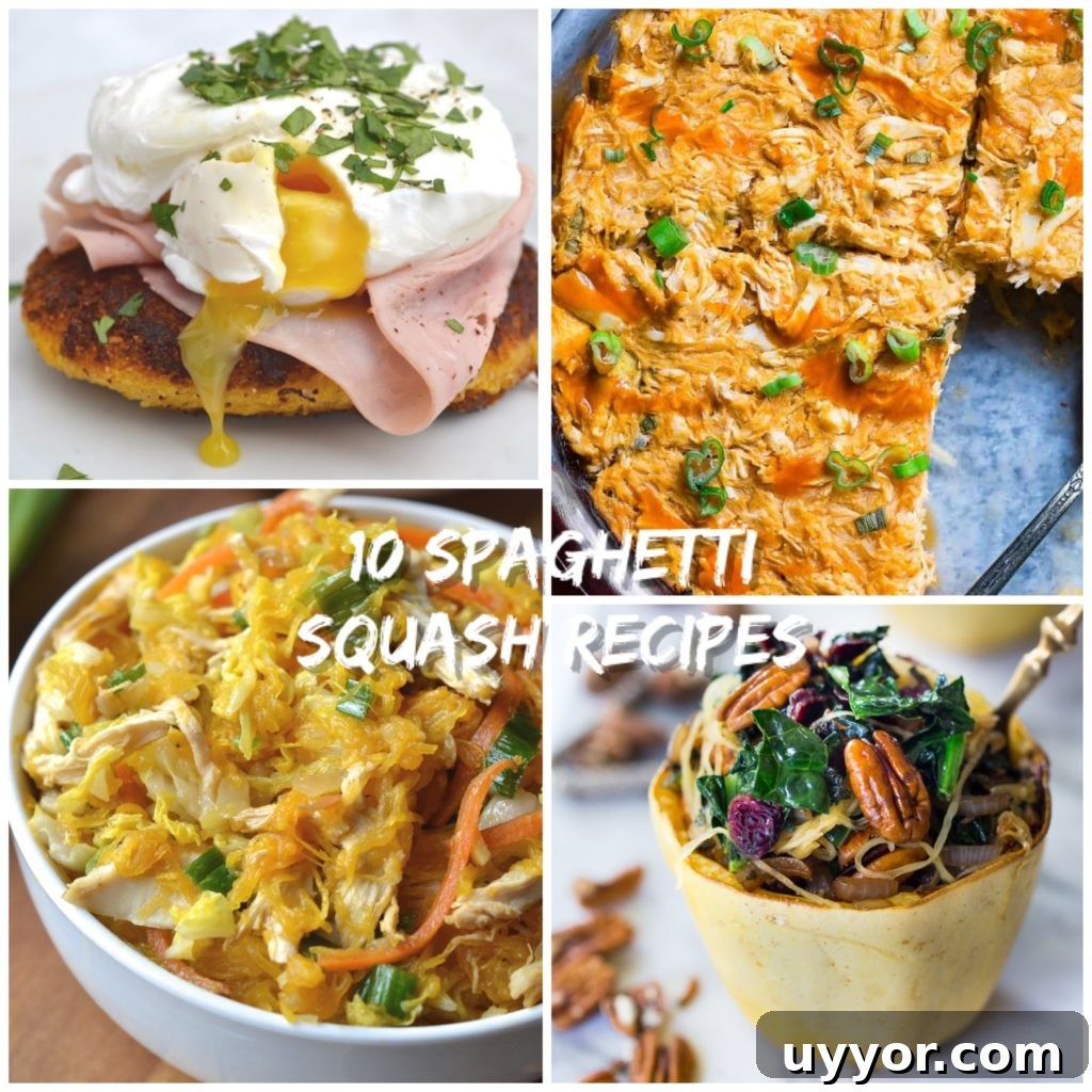 10 Irresistible Spaghetti Squash Recipes for Every Meal 2 img 11718 1