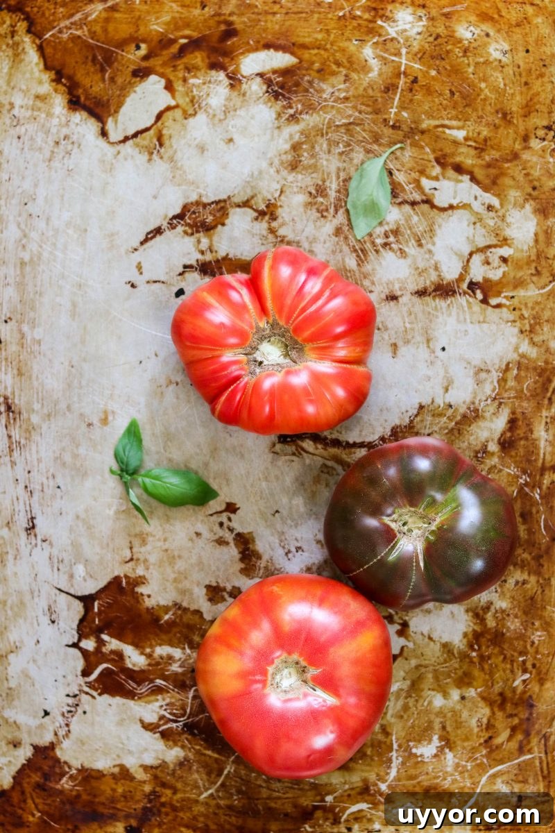 Paleo Tomato Galette