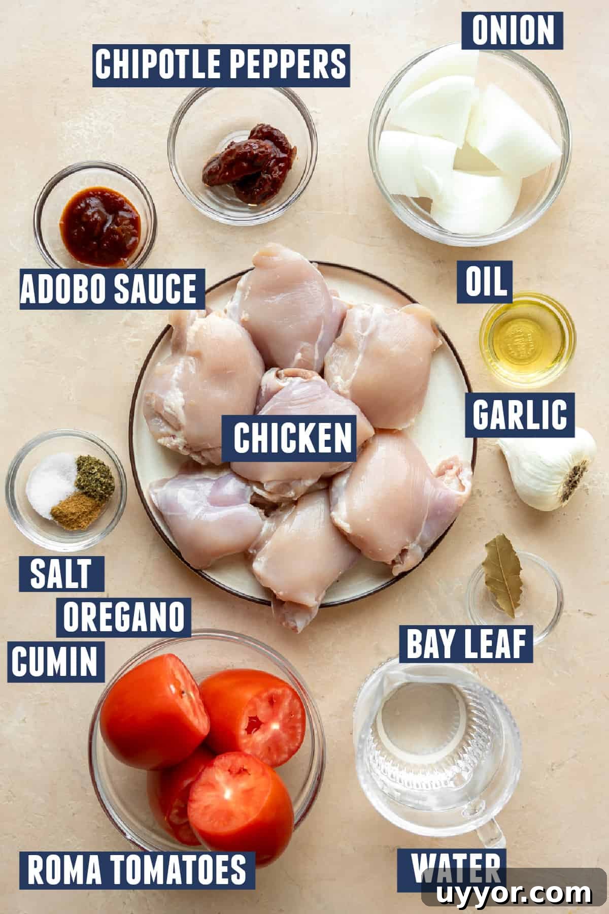 Authentic Chicken Tinga Recipe: Smoky Mexican Shredded Chicken 3 Ingredients needed to make chicken Tinga laid out on the counter.