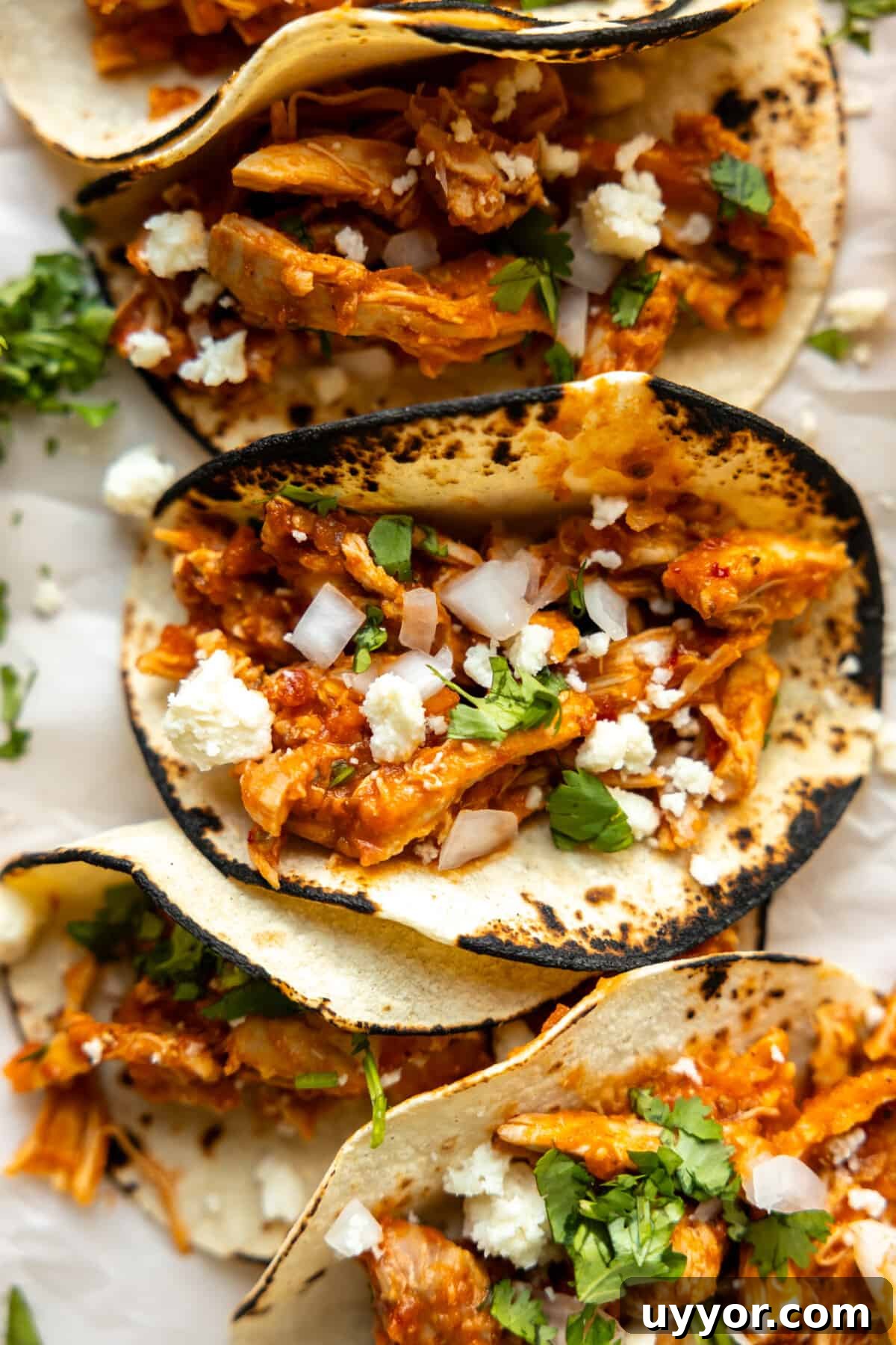 Authentic Chicken Tinga Recipe: Smoky Mexican Shredded Chicken 7 Corn tortillas with charred edges filled with chicken Tinga, topped with diced onion and cilantro.