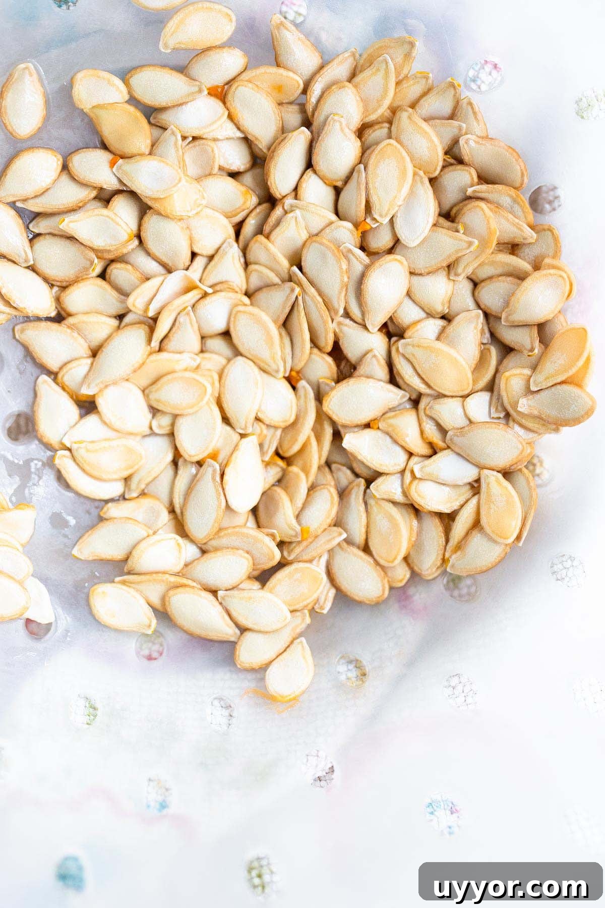 Crispy Roasted Honeynut Squash Seeds Recipe 5 Squash seeds in a colander