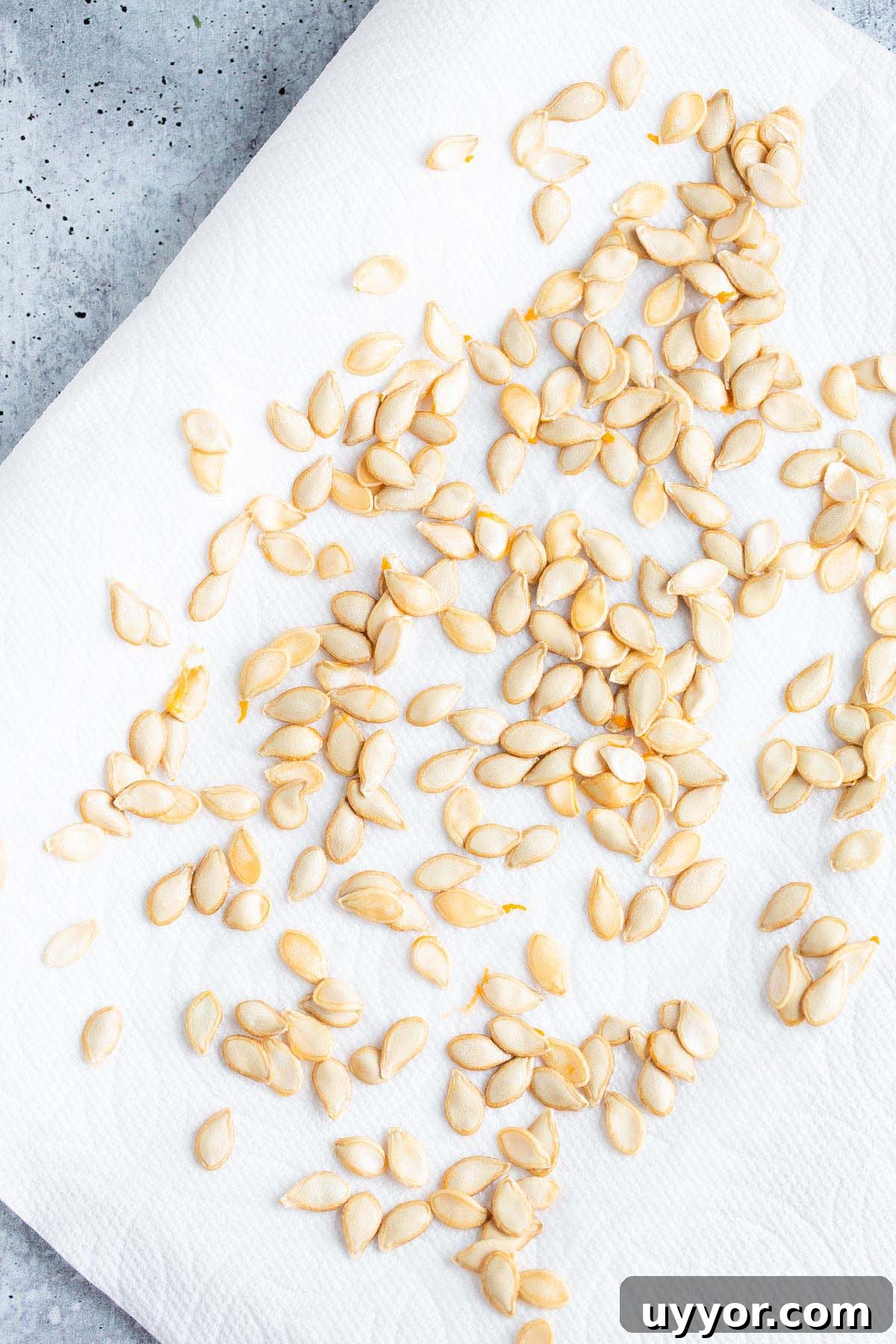 Crispy Roasted Honeynut Squash Seeds Recipe 6 Squash seeds drying on paper towels