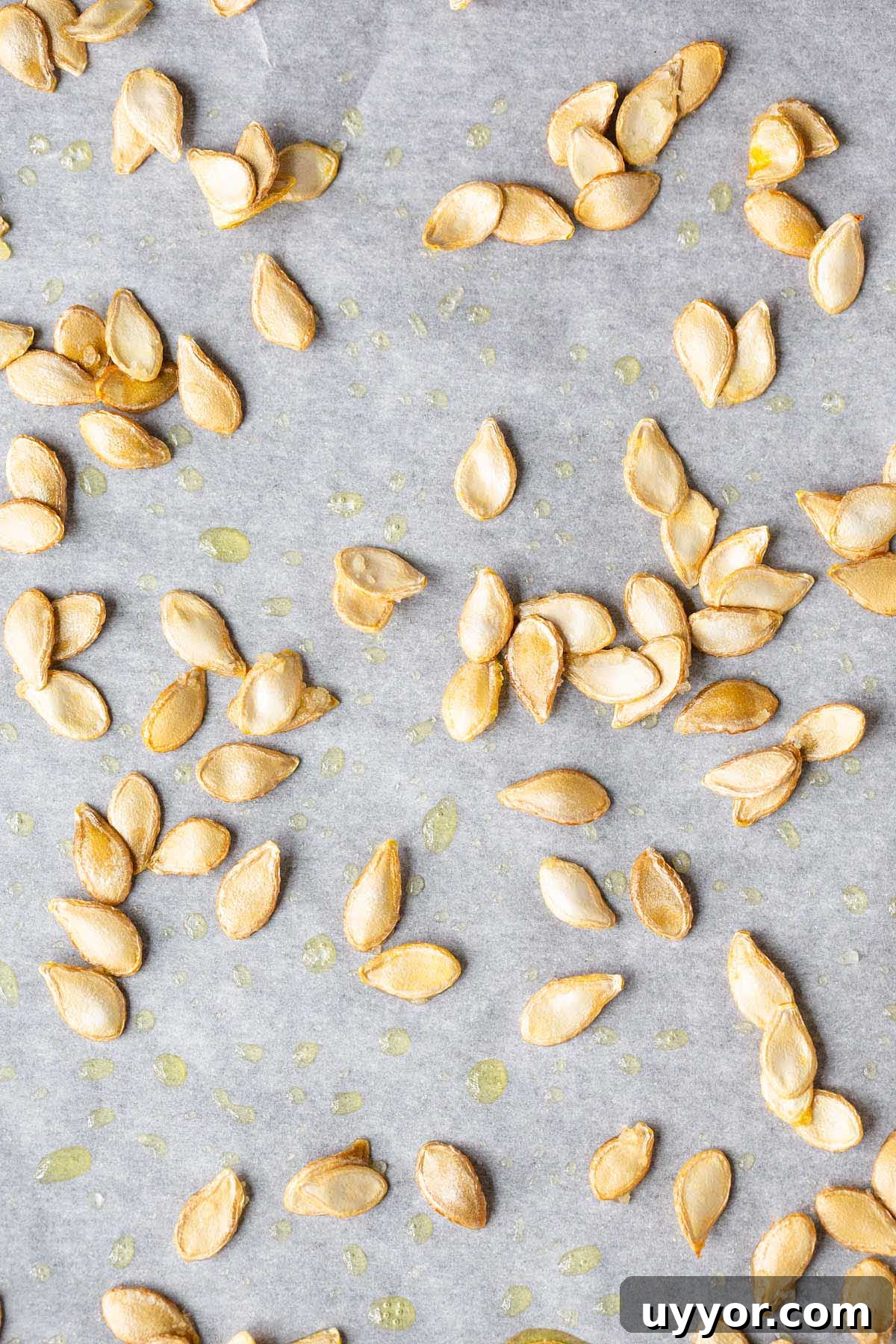 Crispy Roasted Honeynut Squash Seeds Recipe 9 Roasted squash seeds