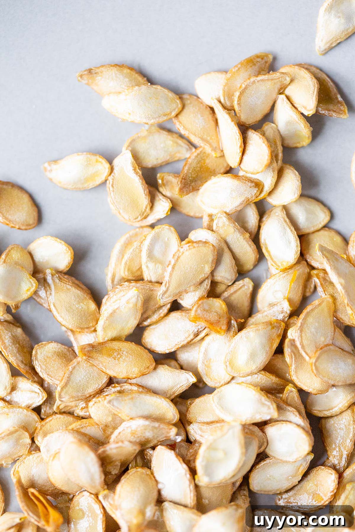 Crispy Roasted Honeynut Squash Seeds Recipe 10 Roasted seeds up close