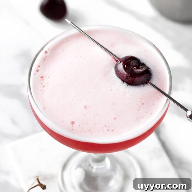 Overhead view of a cherry whiskey sour with a foamy top, garnished with a cocktail pick with a fresh black cherry.