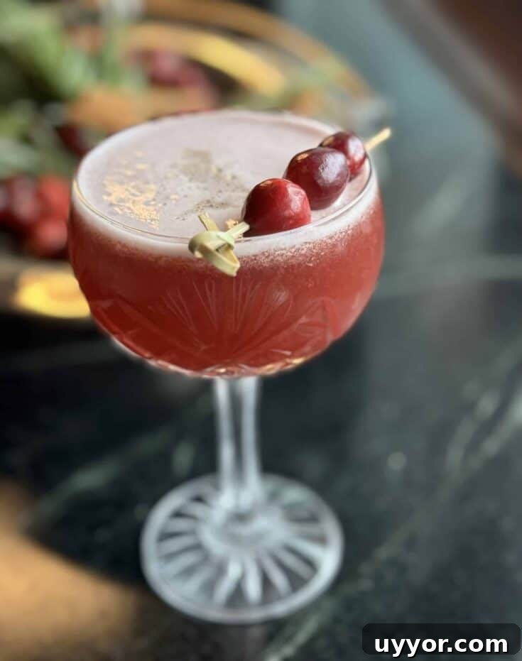 An orange cranberry whiskey sour garnished with cranberries.
