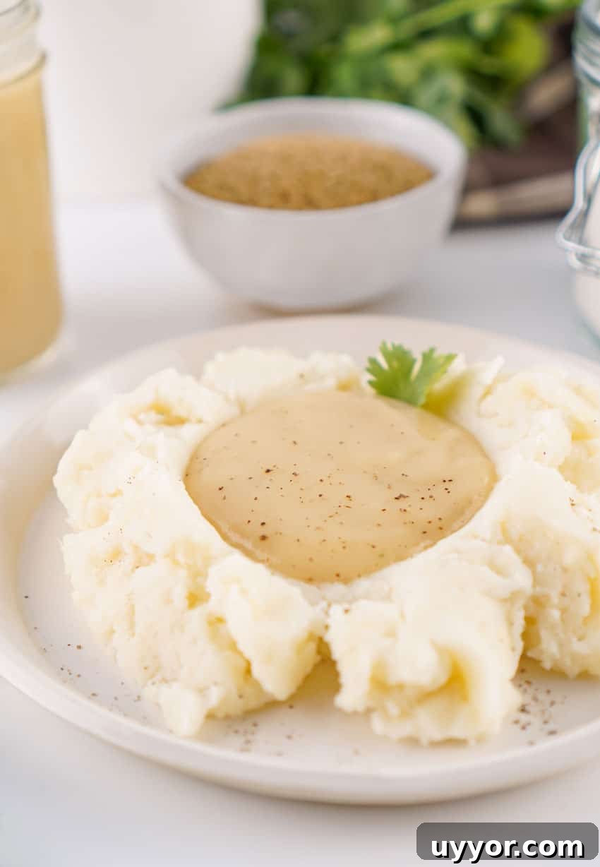 Homemade Brown Gravy Mix Recipe: Make and Store from Scratch 3 homemade brown gravy mix gravy over mashed potatoes on a white plate