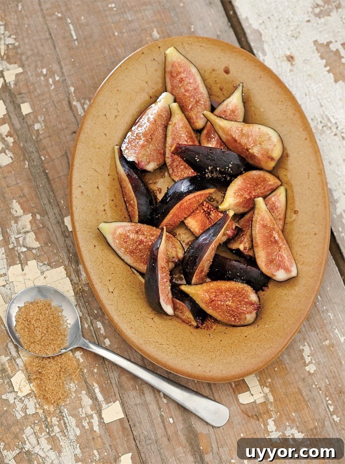 Balsamic Fig Shrub Recipe with Fresh Figs for Cocktails and Dressings 2 Quick Balsamic Fig Shrub from Bitters and Shrub Syrup Cocktails by Warren Bobrow