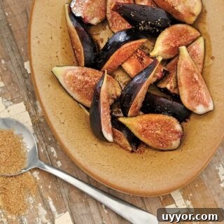 Balsamic Fig Shrub Recipe with Fresh Figs for Cocktails and Dressings 5 Quick Balsamic Fig Shrub from Bitters and Shrub Syrup Cocktails by Warren Bobrow