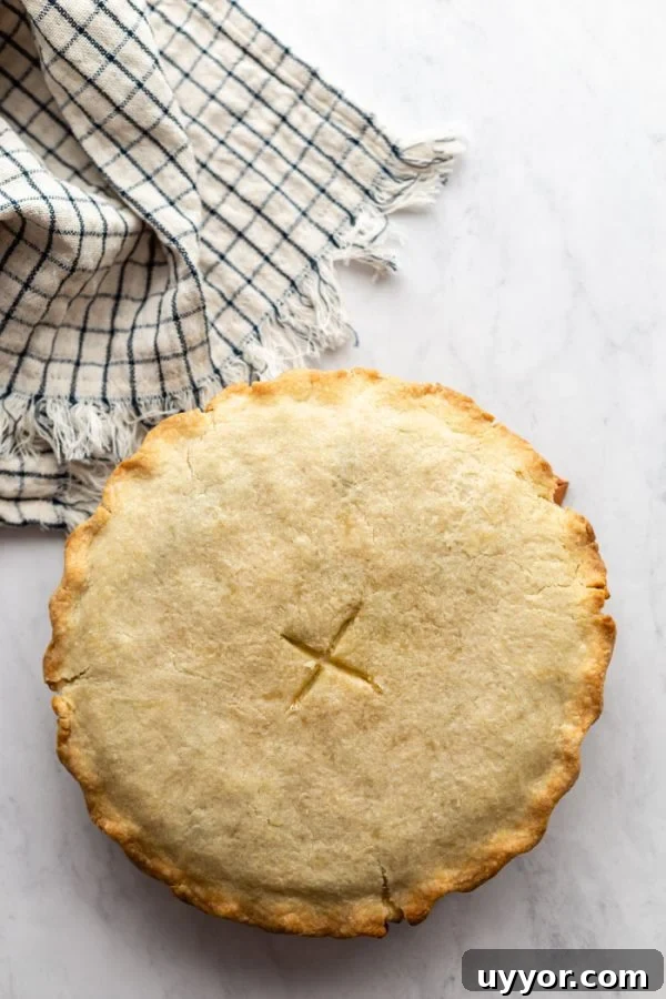 Hearty Chickpea Pot Pie (Vegan Comfort Dish) 5 top down shot of a fully cooked pot pie with crimped edges and an X in the center