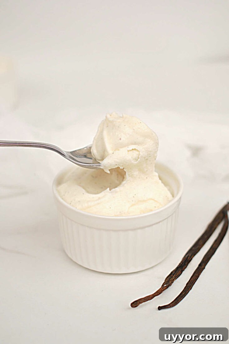 Ninja Creami vanilla ice cream served in bowl