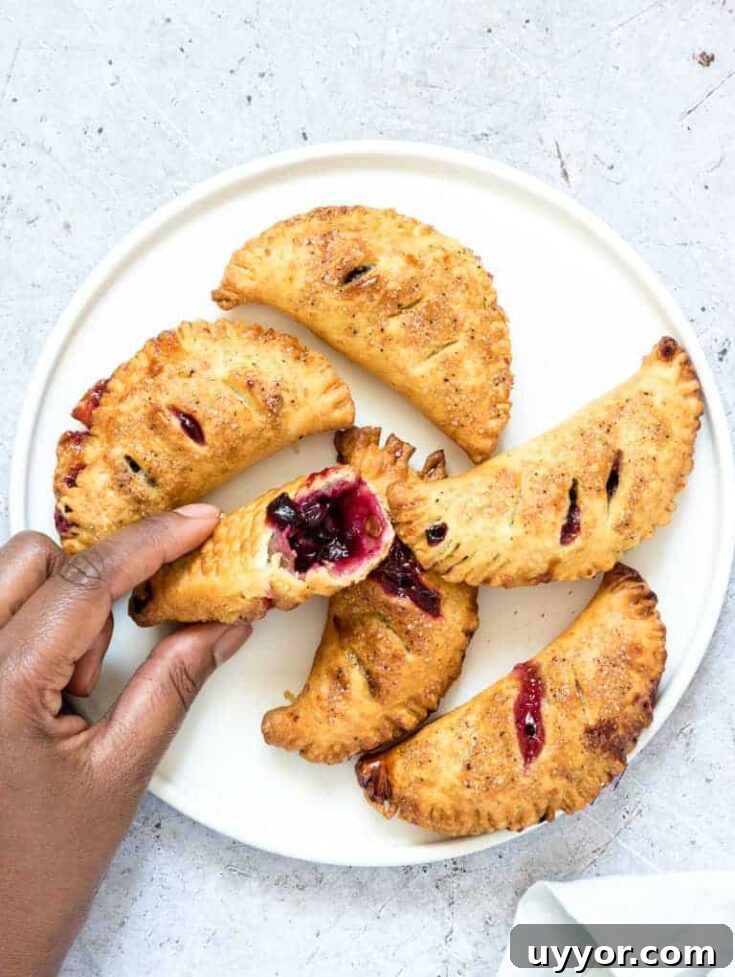air fryer blueberry hand pies