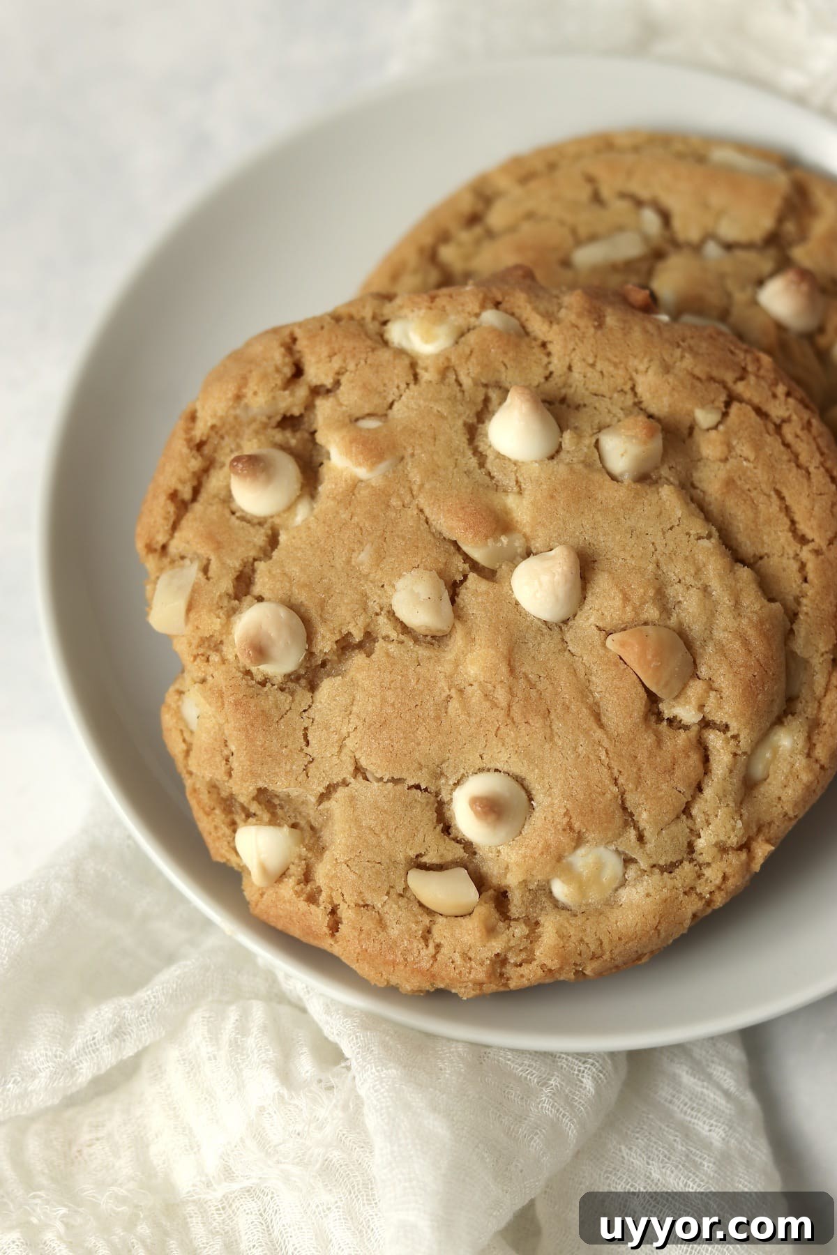 Single serve white chocolate macadamia nut cookie on a plate.