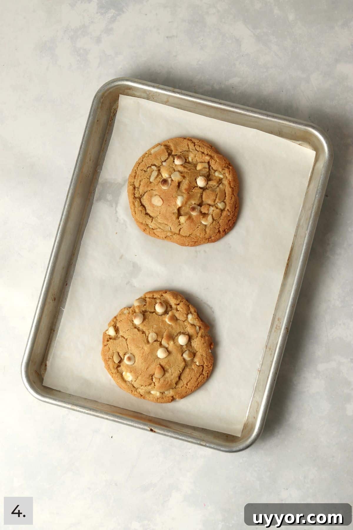 Two white chocolate macadamia nut cookies on a baking sheet after baking.