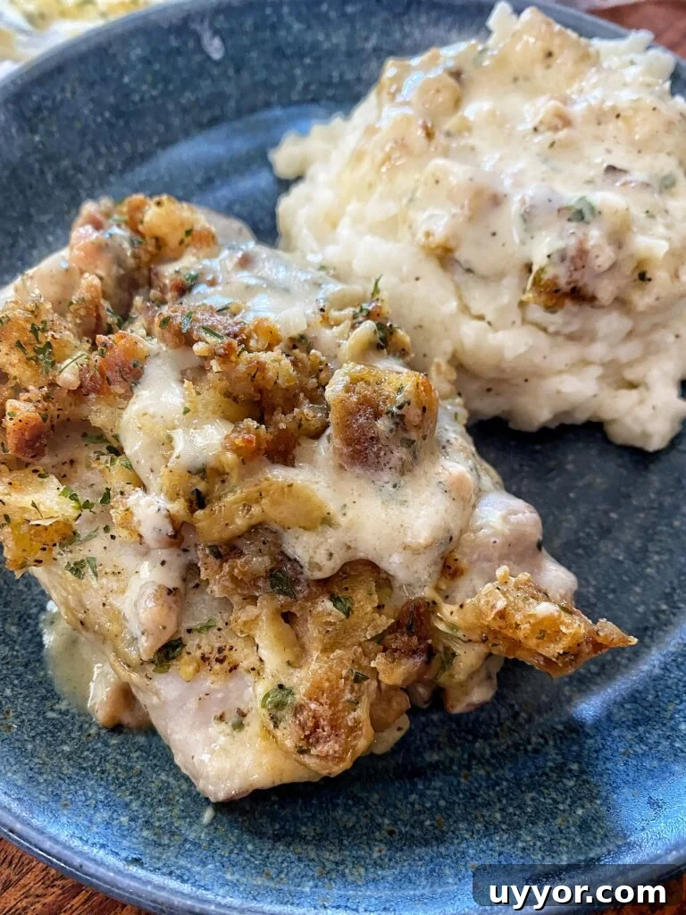Creamy-Gravy Stuffed Turkey Roll-Ups for Holiday Dinner 2 Stuffed turkey roll ups with gravy