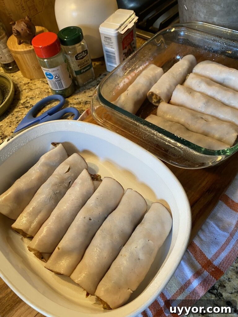 Creamy-Gravy Stuffed Turkey Roll-Ups for Holiday Dinner 7 Slices of deli turkey wrapped around stuffing in baking dishes