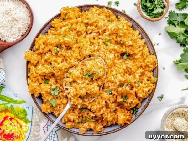 Crockpot spanish rice served in a bowl.