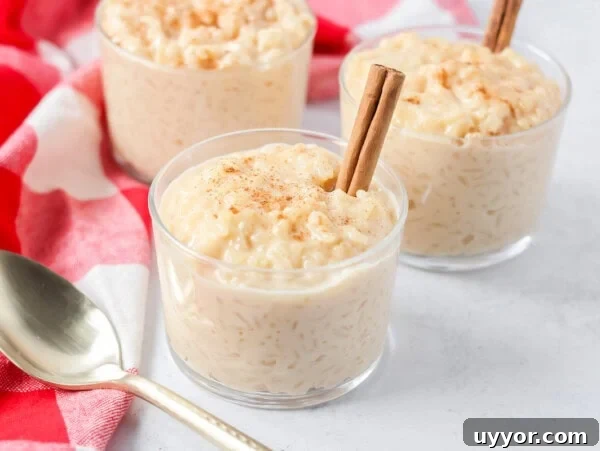 Homemade arroz con leche recipe in glass cups with cinnamon sticks.