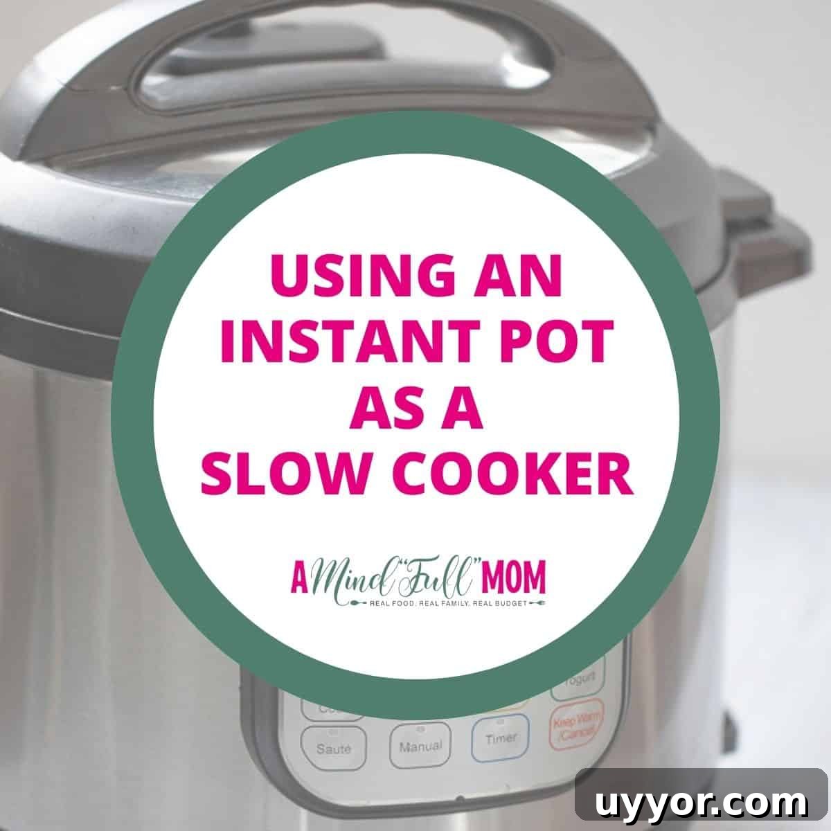 Instant Pot blurred out in background with logo overlay that reads how to use instant pot as slow cooker.
