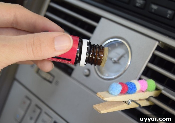 Car Smell Hack idea