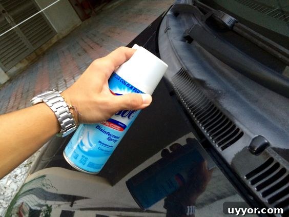 Car Smell Hacks