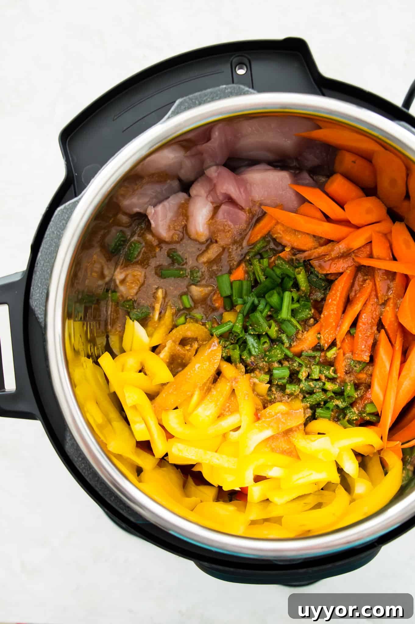 An Instant Pot with chopped peppers, chicken, carrots and green onion in it.