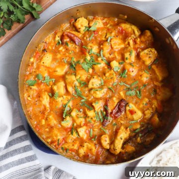 Creamy Almond Milk Chicken Curry Recipe for Juicy, Tender Meat 9 Finished chicken curry