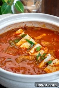 Spicy Kimchi Jjigae Recipe: Authentic Korean Kimchi Stew 15 img 14280 19