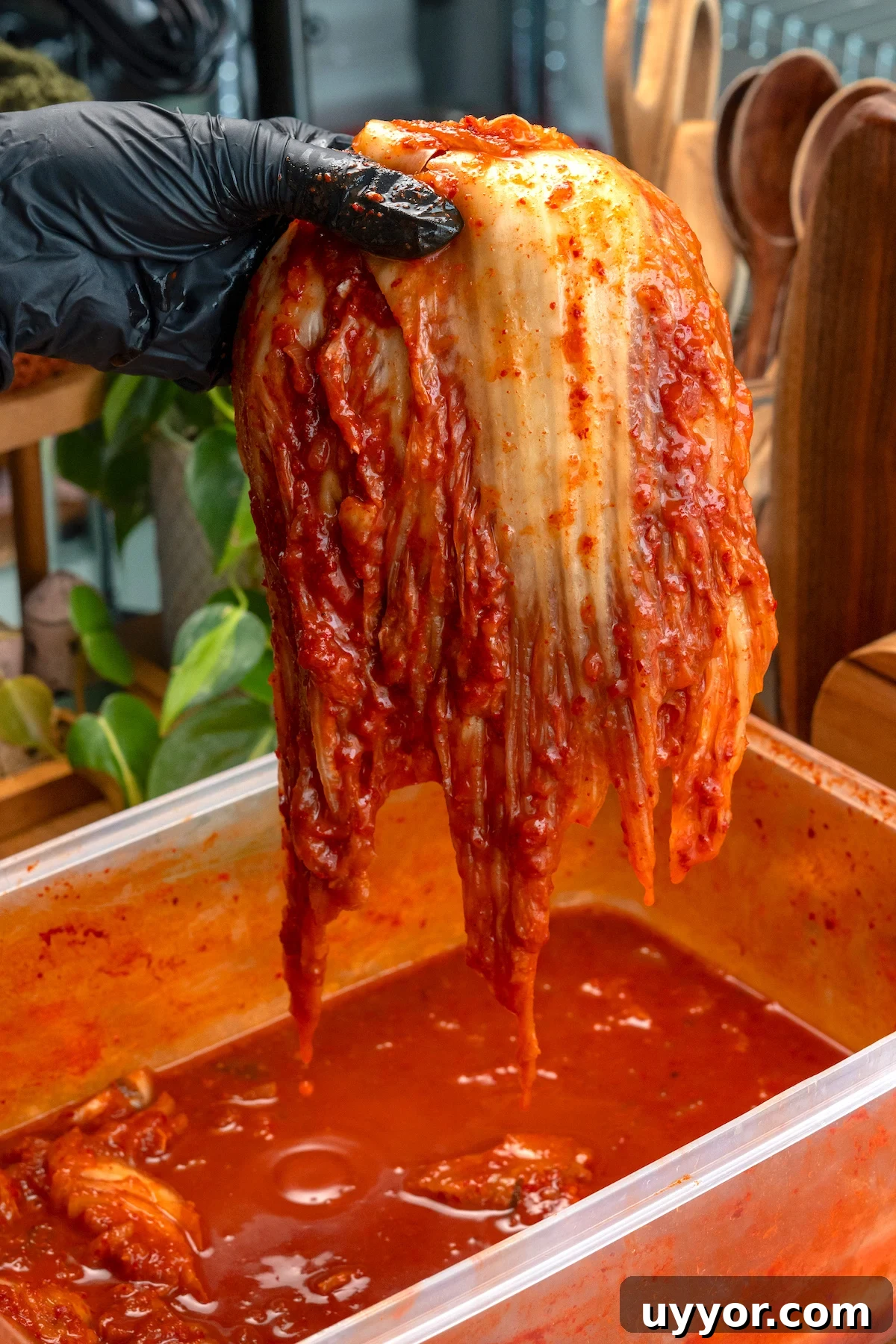 Spicy Kimchi Jjigae Recipe: Authentic Korean Kimchi Stew 4 img 14280 3