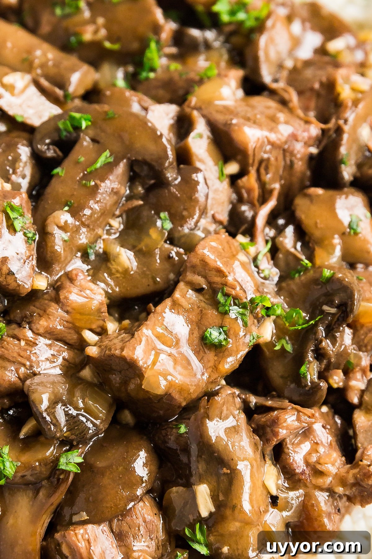 Instant Pot Beef Tips with Rich Mushroom Gravy 8 A close up image of beef tips and mushrooms in gravy.