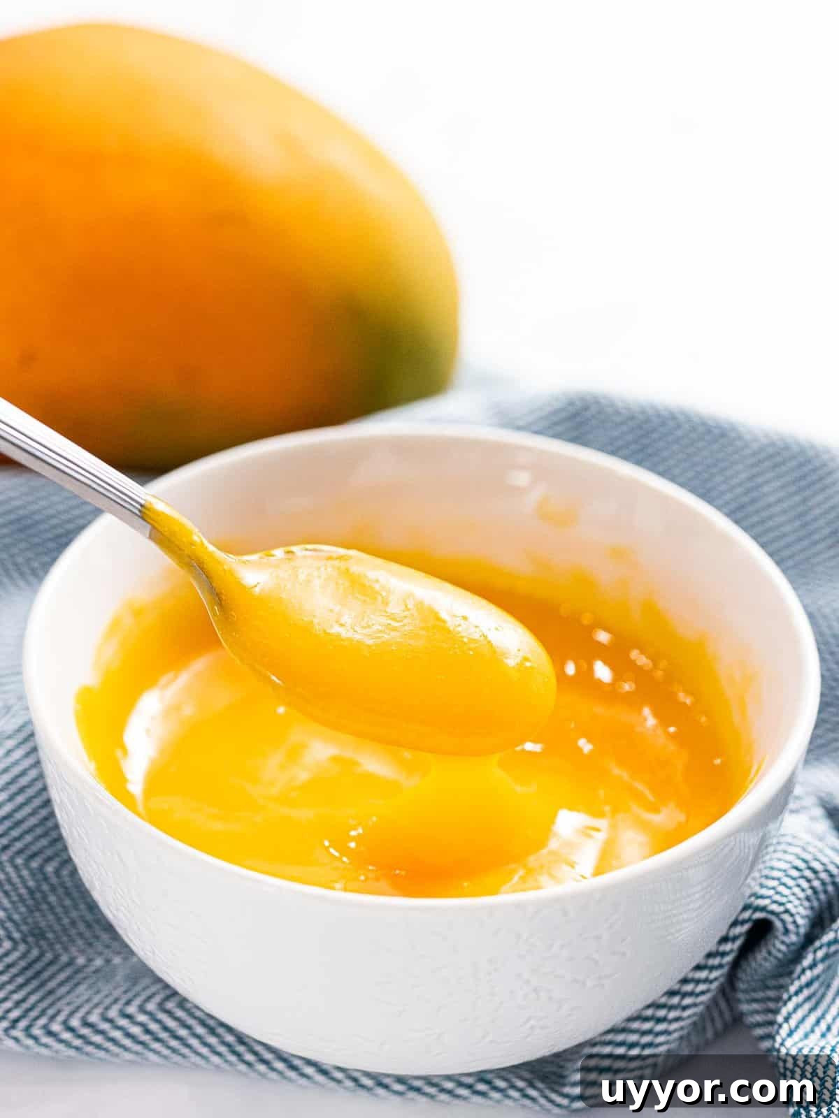 Mango sauce in a white bowl.