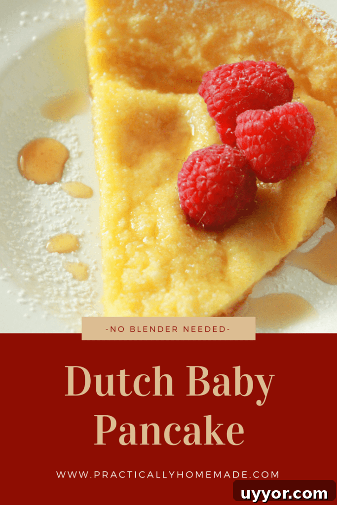Dutch Baby Pancake Recipe — No Blender Required 2 dutch baby pancake | dutch baby pancake recipe | dutch baby pancake simple | easy dutch baby pancake recipe