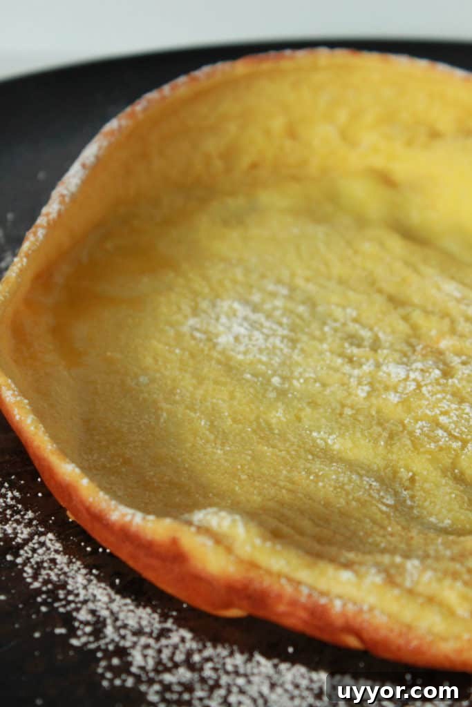 Dutch Baby Pancake Recipe — No Blender Required 11 img 1521 10