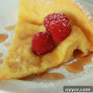 Dutch Baby Pancake Recipe — No Blender Required 13 img 1521 12