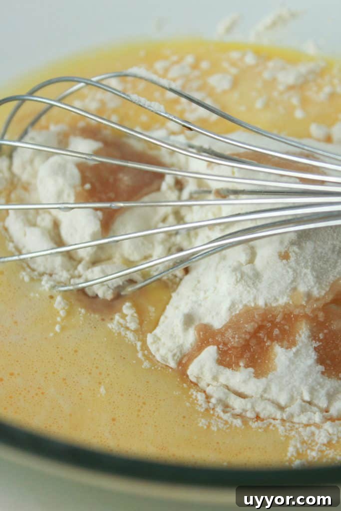 Dutch Baby Pancake Recipe — No Blender Required 4 img 1521 3