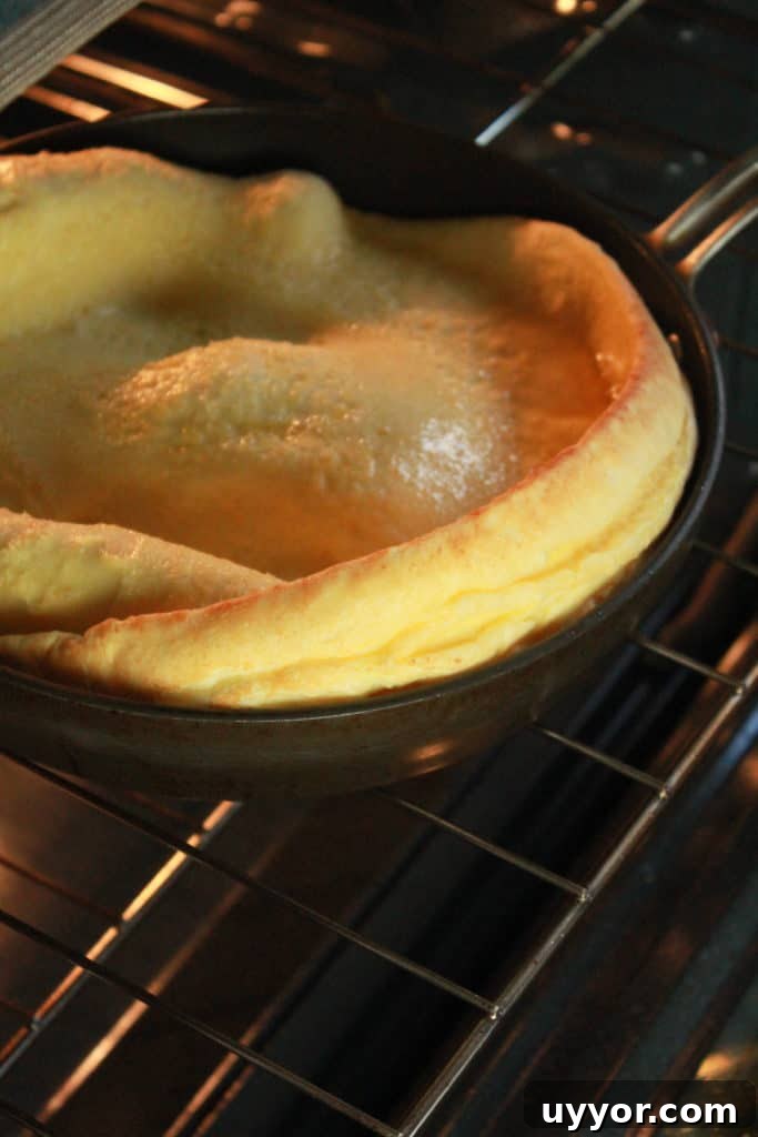 Dutch Baby Pancake Recipe — No Blender Required 9 img 1521 8