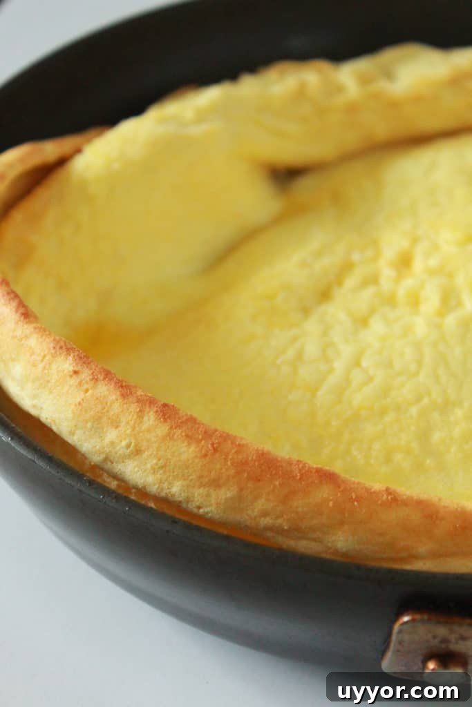 Dutch Baby Pancake Recipe — No Blender Required 10 img 1521 9