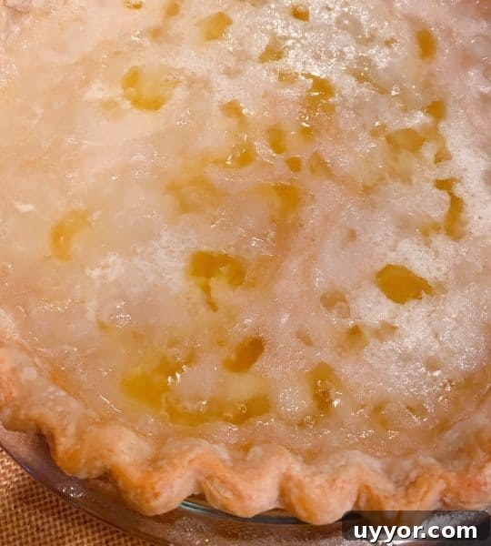 Classic Depression-Era Water Pie Recipe You Can Make Today 7 Pie out of the oven before chilling.