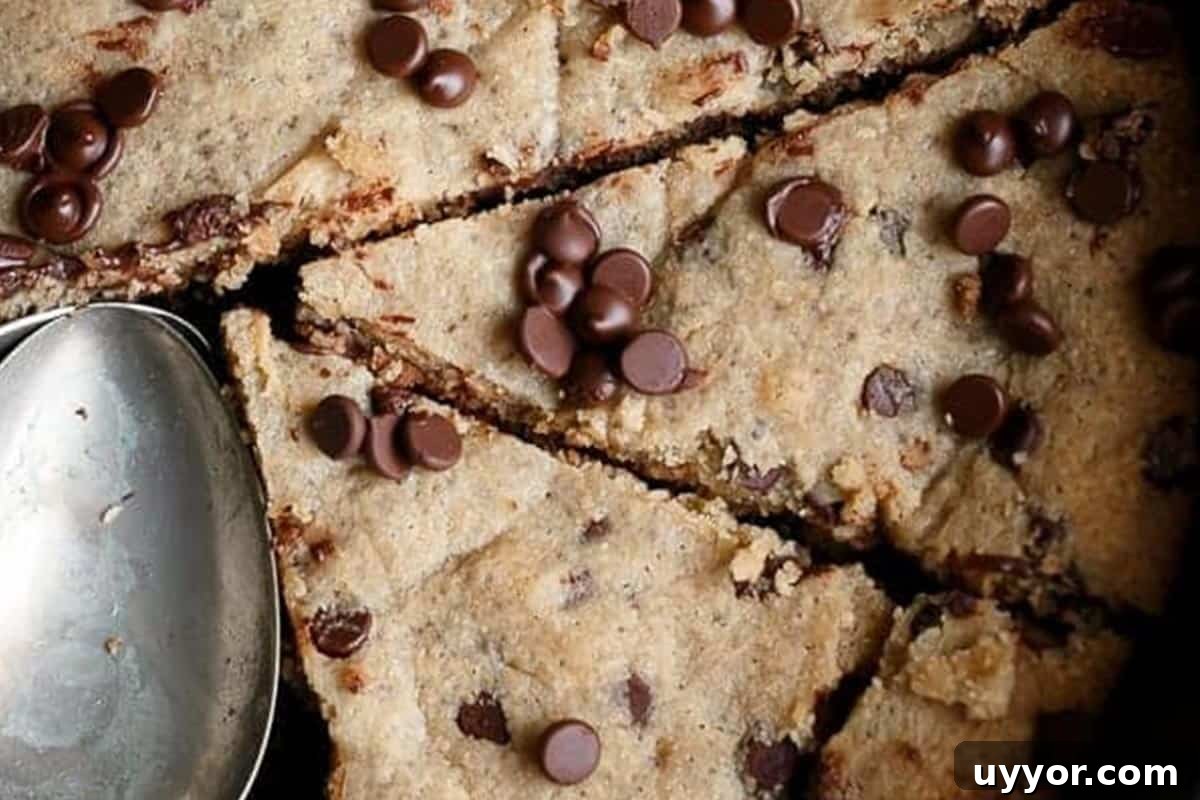 Skillet Chocolate Chip Cookie with Browned Butter (Low Carb) 11 Close-up shot of Low Carb Browned Butter Skillet Chocolate Chip Cookie.