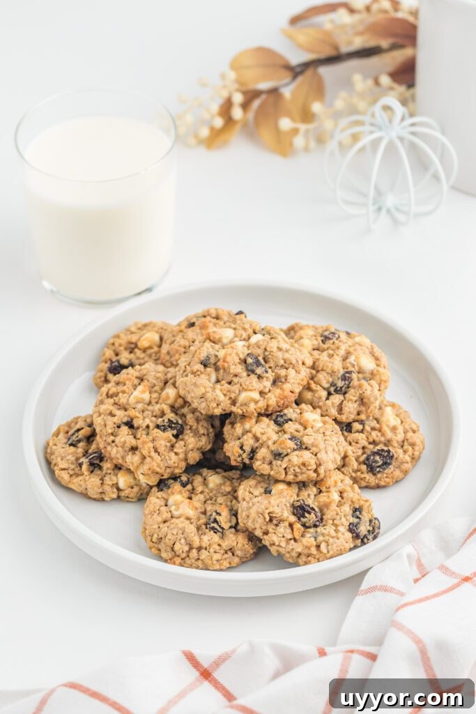 spiced pumpkin oatmeal cookies