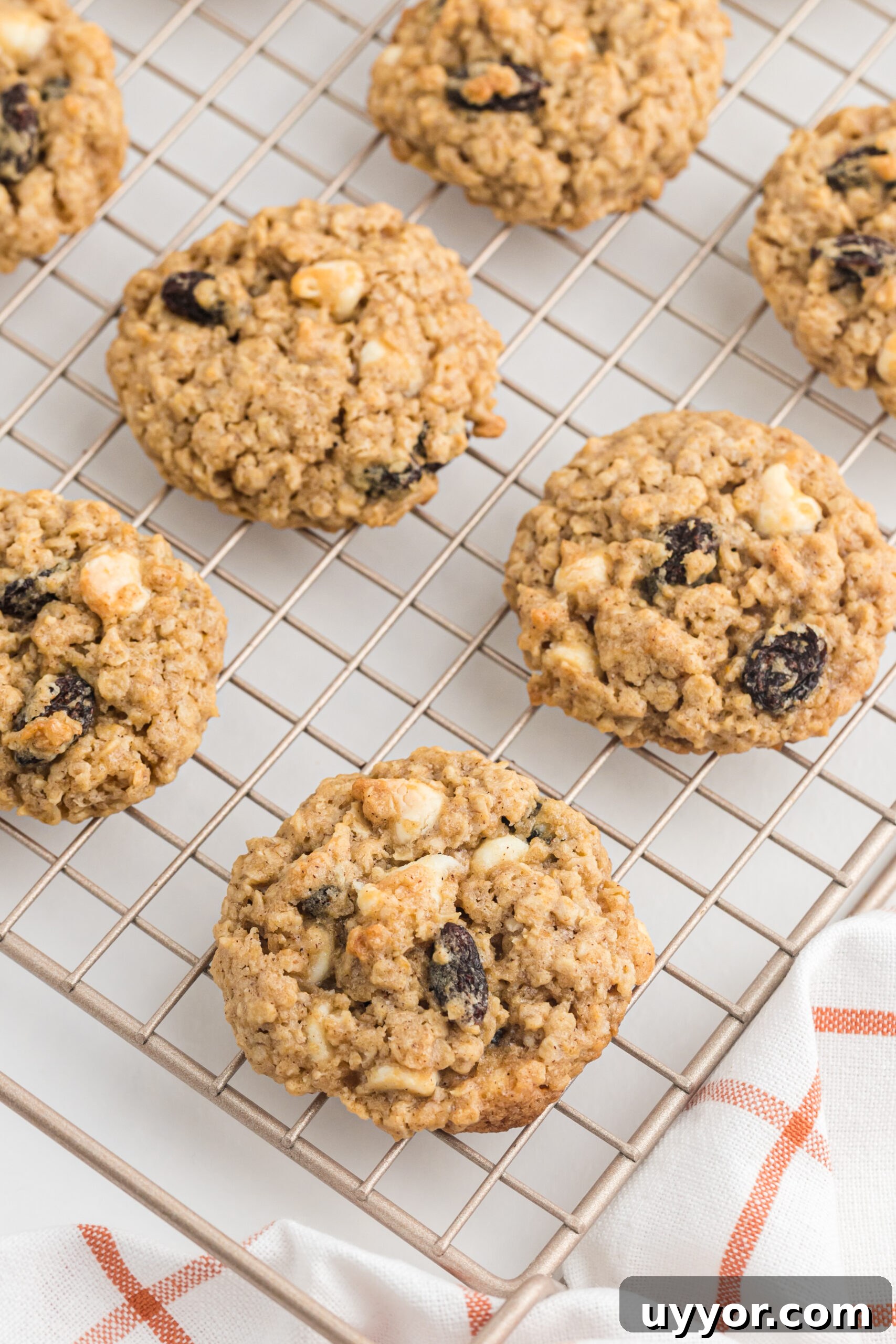 Spiced Pumpkin Oatmeal Cookies - This Farm Girl Cooks