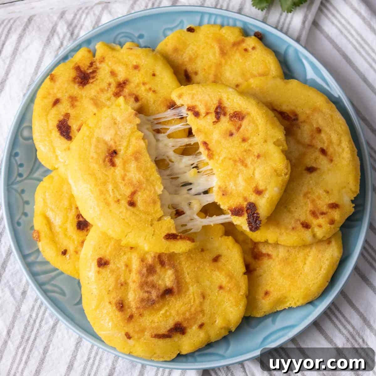 75 Foods That Start With A: Complete A-to-Z List of A Foods 6 cheese pull arepa on top of cooked arepas.